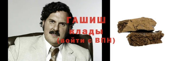 мдпв Ладушкин
