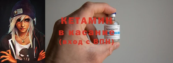 прущие грибы Лабытнанги