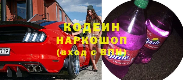 прущие грибы Лабытнанги