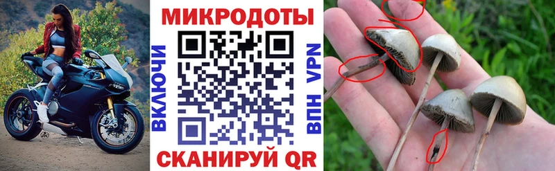 даркнет сайт  MEGA tor  Галлюциногенные грибы прущие грибы  Черкесск 